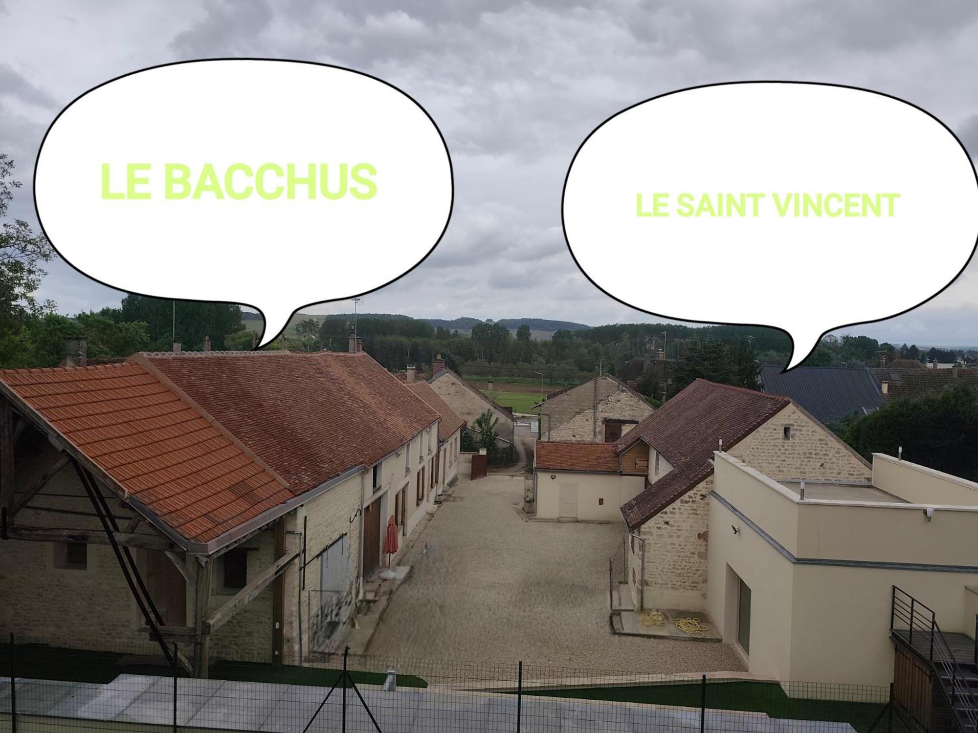 Le Bacchus * Chablis